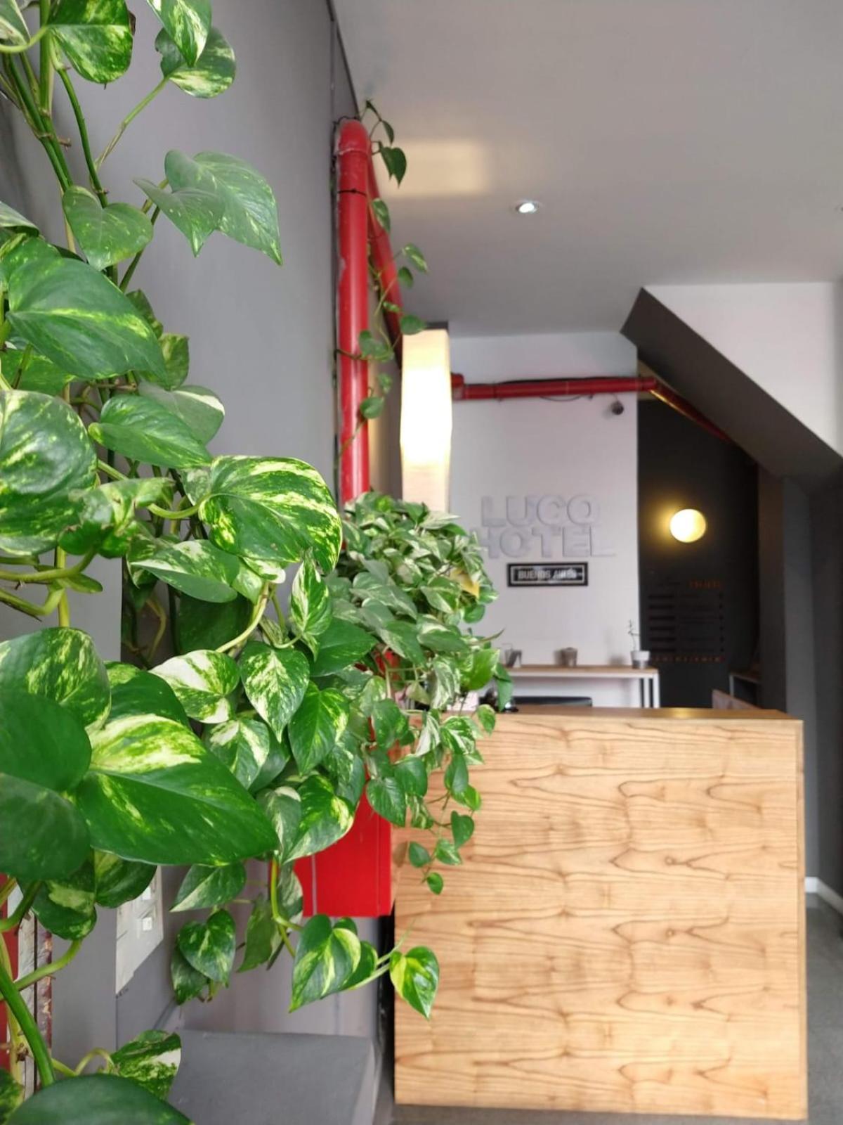 Luco Hotel Buenos Aires Kültér fotó